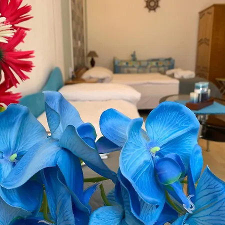 Sunray Guest House, Private & With Lovely Sea View 바르나