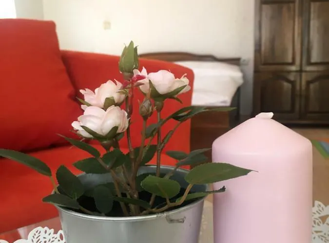 Sunray Guest House, Private & With Lovely Sea View